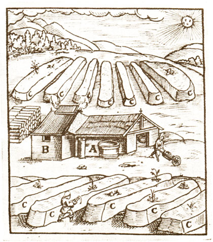 Добыча селитры в XVI в. А, В - варочное отделение выщелачивания земель и выпарки раствора селитры; С - установка для 'созревания' различных видов селитры