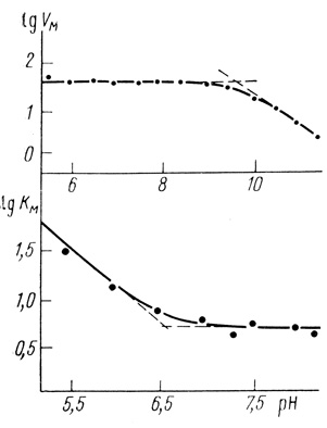 Рис. 16. pH-Зависимости максимальной скорости и константы Михаэлиса для реакции выделения водорода из восстановленной формы метилвиологена (25°С; 0,02 М ацетата натрия; pH 5-7,5; 0,02 М бората натрия (pH 7,5-12)