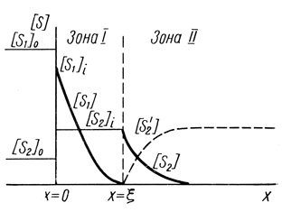 Рис. 22. Схема профиля концентраций в системе двух последовательных реакций